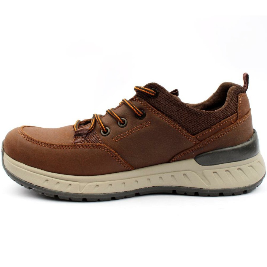 Men Dubarry | Stamford Laced Shoe - Brown