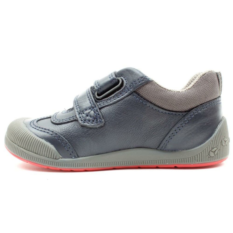 Kids Startrite | Tickle Velcro Shoe - Navy Multi F