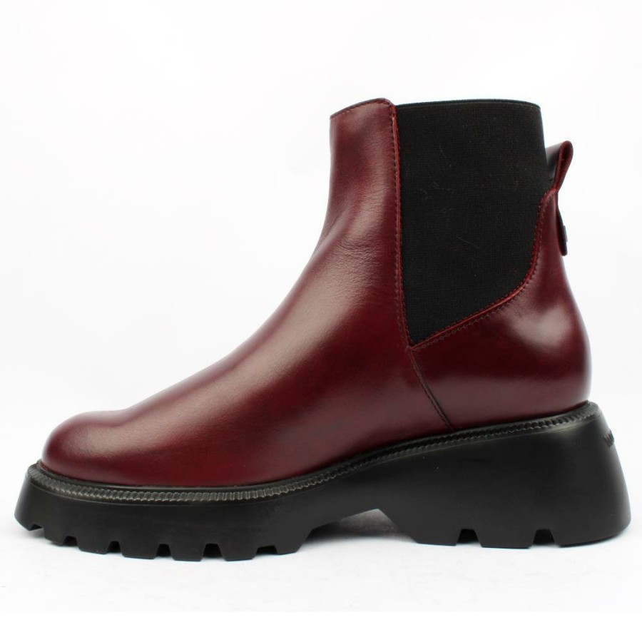 Women Wonders | C7203 Ankle Boot - Wine