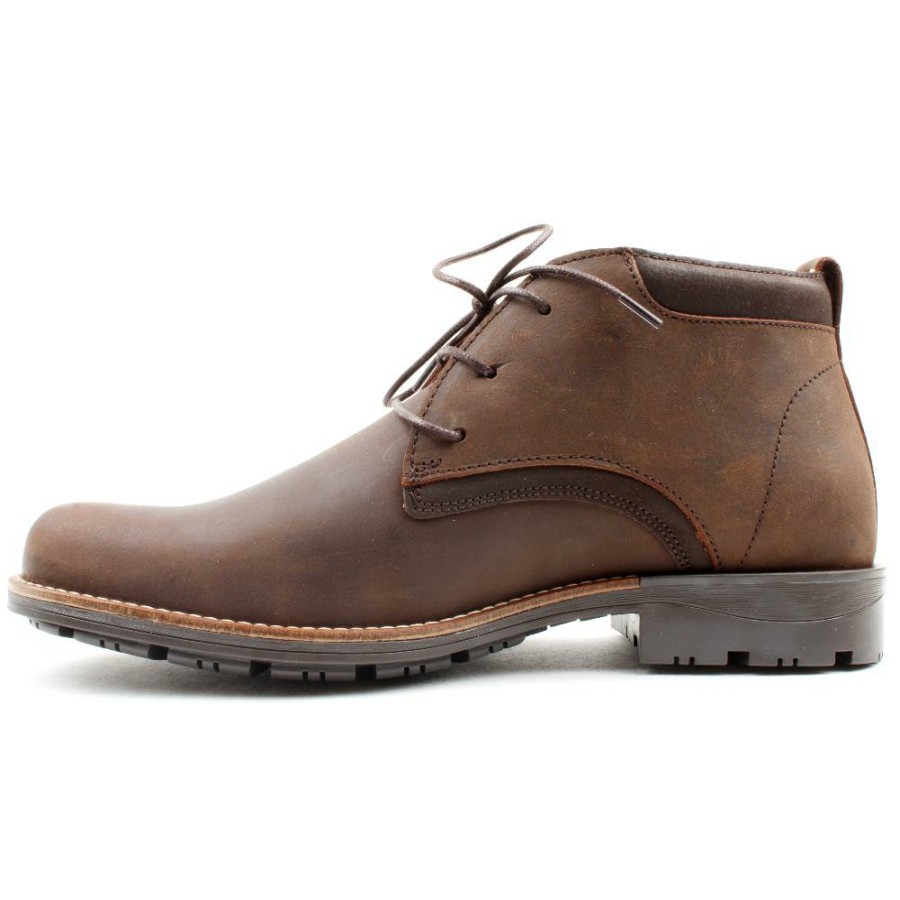 Men Dubarry | Shone Laced Boot - Brown