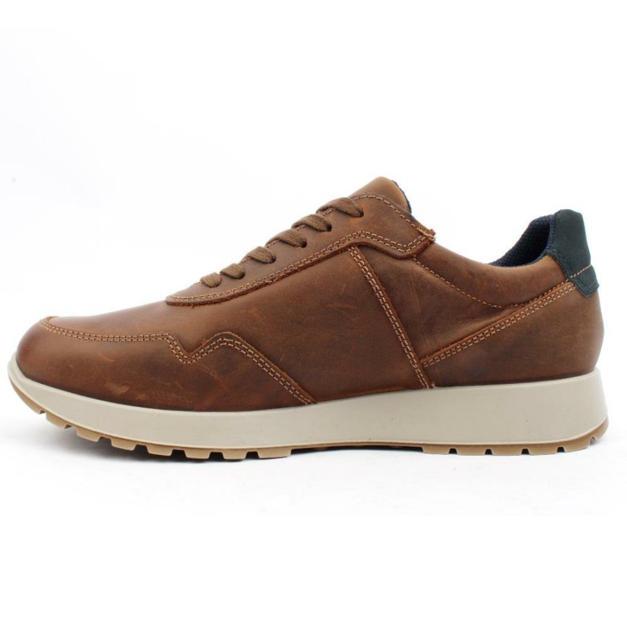 Men Ara | 34515 Laced Shoe - Tan Blue